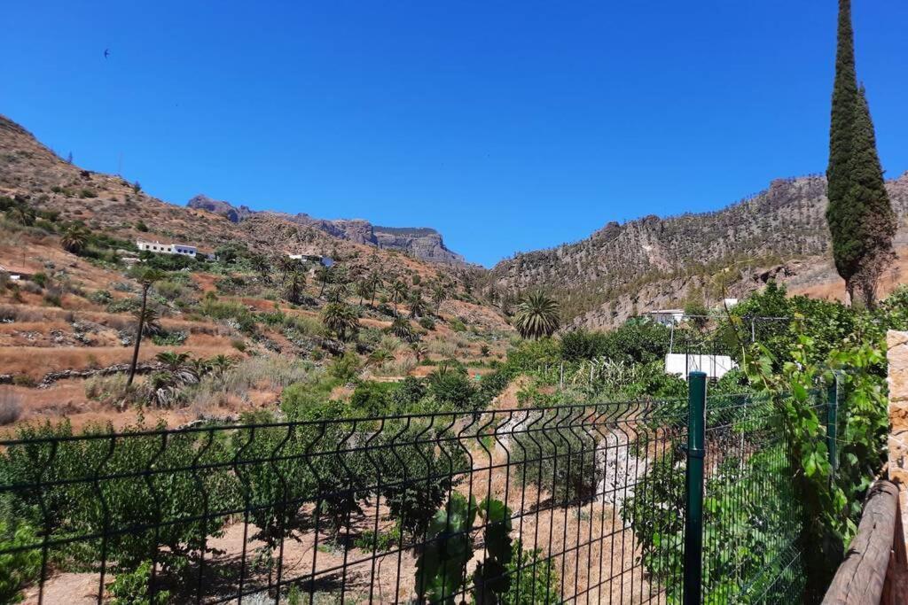 Casa Rural Los Cipreses. Cercados De Arana San Bartolomé Eksteriør bilde
